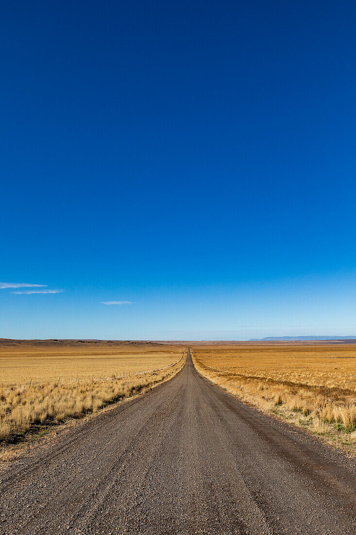 Open desert road under blue Nevada sky, the Silver State